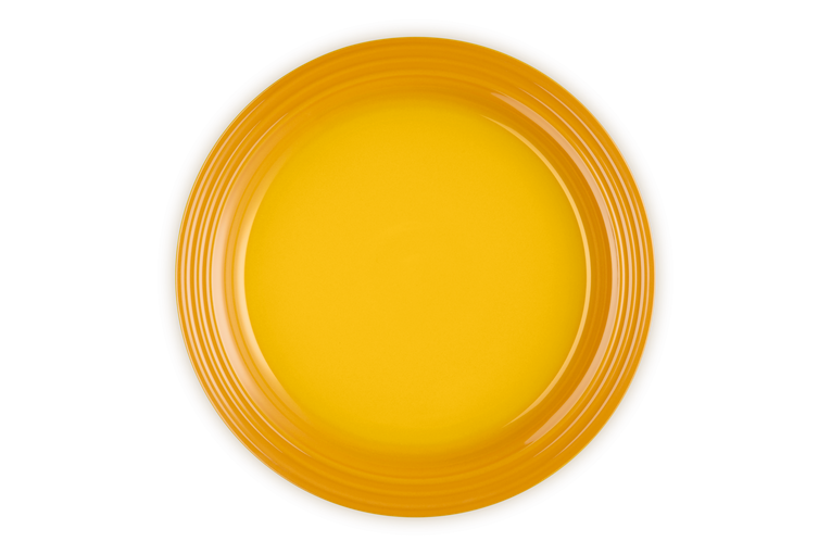 Stoneware Dinner Plate